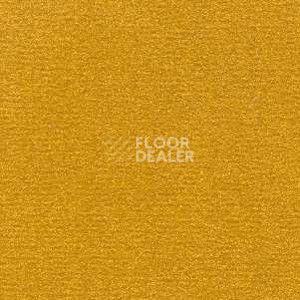 Ковролин Radici Nexus Senape 2429 фото 1 | FLOORDEALER